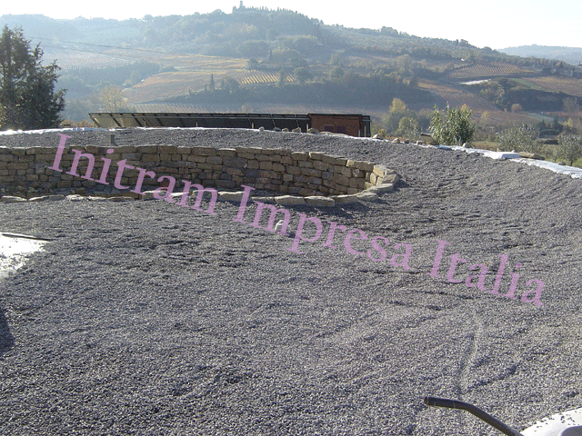 biopiscina
