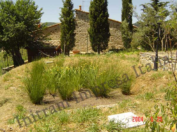 Impianto di fitodepurazione a flusso sommerso orizzontale per abitazione a San Casciano Val di Pesa - Firenze