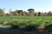 fitodepurazione a flusso sommerso orizzontale