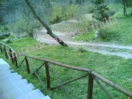 Impianto di fitodepurazione a flusso sommerso orizzontale - piante in fase di crescita per agriturismo a Castellina in Chianti, Siena