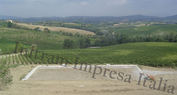 Impianto di fitodepurazione a servizio di cantina vitivinicola